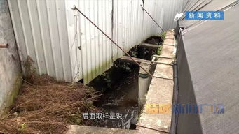 河長制推動河長治 集美區清退污染溪流養鰻場，啟動“三溪”全面治理